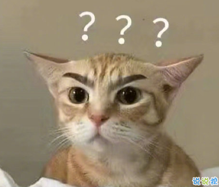 2021超級幽默可愛的懟人句子大全 2021網(wǎng)絡懟人流行語 1