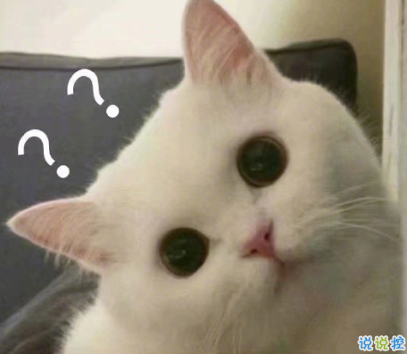 2021超級幽默可愛的懟人句子大全 2021網(wǎng)絡懟人流行語 2