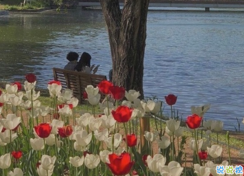 溫柔文藝的文案怎么寫 值得收藏的唯美句子1