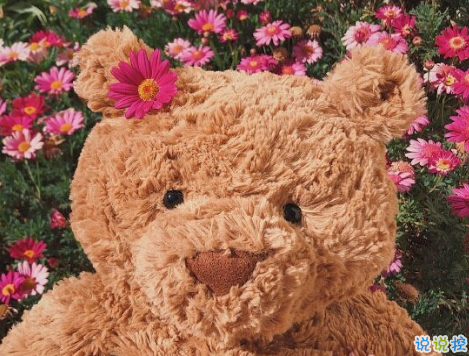 溫柔文藝的文案怎么寫 值得收藏的唯美句子2