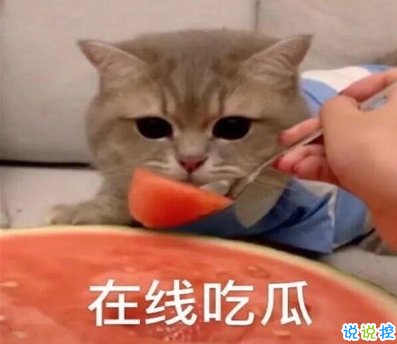 吃瓜人朋友圈說(shuō)說(shuō)怎么發(fā) 微博吃瓜人有趣說(shuō)說(shuō)帶圖片1