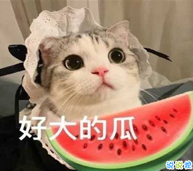 吃瓜人朋友圈說(shuō)說(shuō)怎么發(fā) 微博吃瓜人有趣說(shuō)說(shuō)帶圖片12