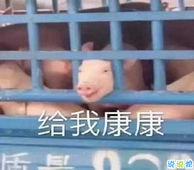 吃瓜人朋友圈說(shuō)說(shuō)怎么發(fā) 微博吃瓜人有趣說(shuō)說(shuō)帶圖片14