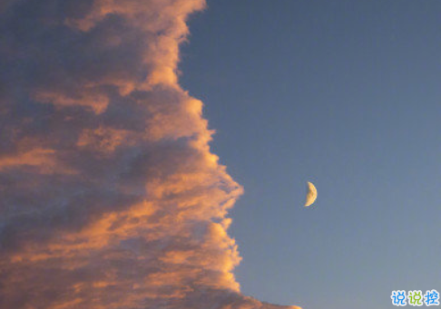 很隱晦的表達(dá)自己要離開的句子 暗示自己心累要離開的文案2