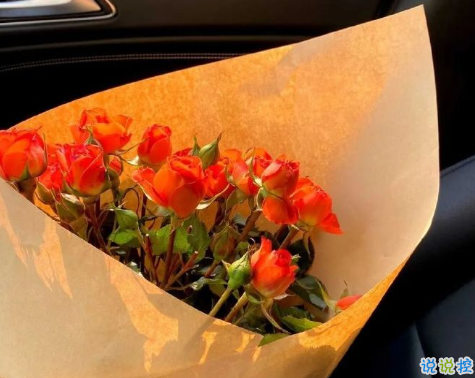 很可愛的有仙氣的八字微信狀態(tài)文案 簡(jiǎn)單干凈小清新微信狀態(tài)句子1