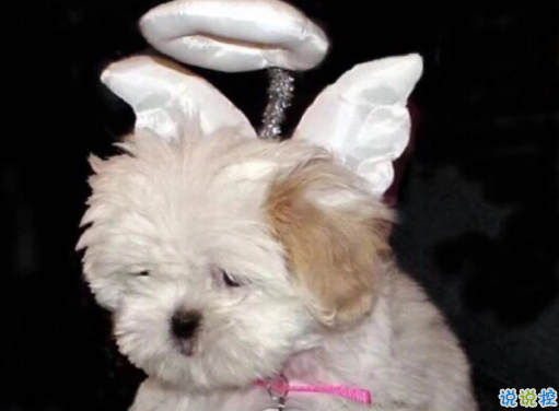 一眼就很驚艷的微信狀態(tài)句子 好聽到爆的微信狀態(tài)說說2