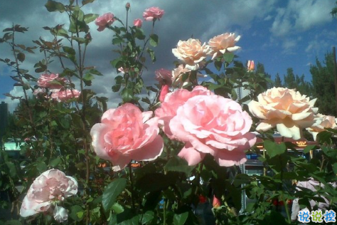 2021一月再見二月你好唯美勵志說說 告別一月迎接二月的唯美勵志說說1