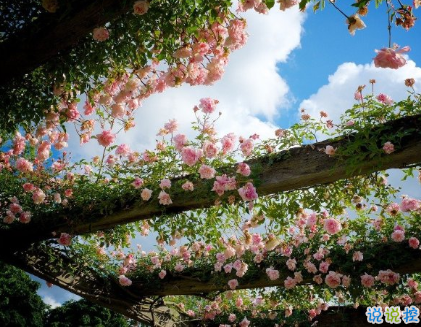 2021一月再見二月你好唯美勵志說說 告別一月迎接二月的唯美勵志說說2