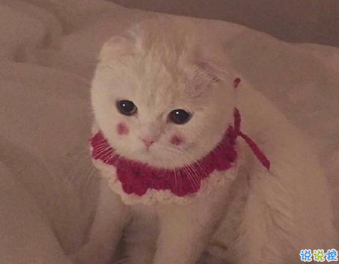 沙雕搞笑的微信狀態(tài)說說 超級(jí)搞笑有趣的微信狀態(tài)句子2