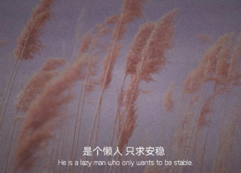 很溫暖你內(nèi)心的溫柔句子精辟 寫到心窩子里的說說1