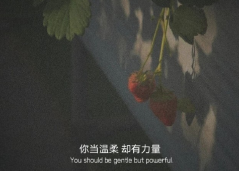 很溫暖你內(nèi)心的溫柔句子精辟 寫到心窩子里的說說2