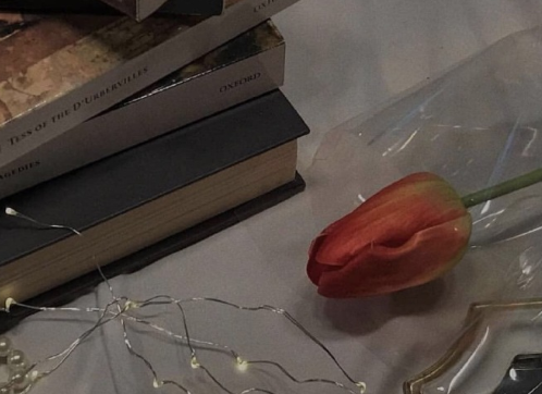 能夠上抖音熱門的文案 吸引人點擊的抖音文案2