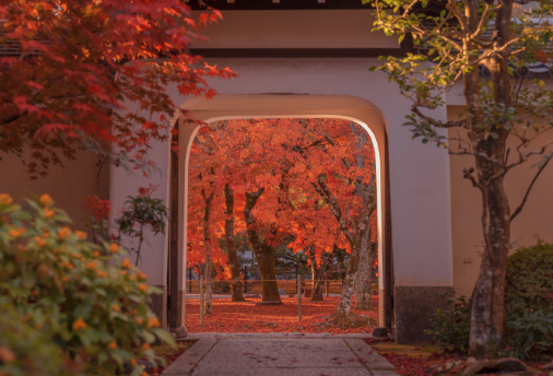 分手后一定要明白的道理精辟 握得越緊失去的越快2