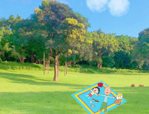 讓你一眼驚鴻的愛情英文句子帶翻譯 唯美的英文愛情說說1