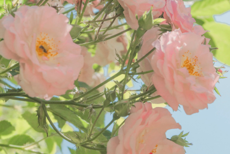 立春勵志早安心情說說 立春正能量語錄1