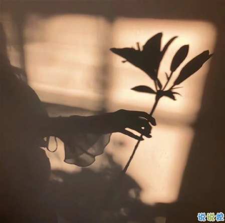 適合微信狀態(tài)的小眾文案帶背景圖 很高逼格的微信狀態(tài)文案1