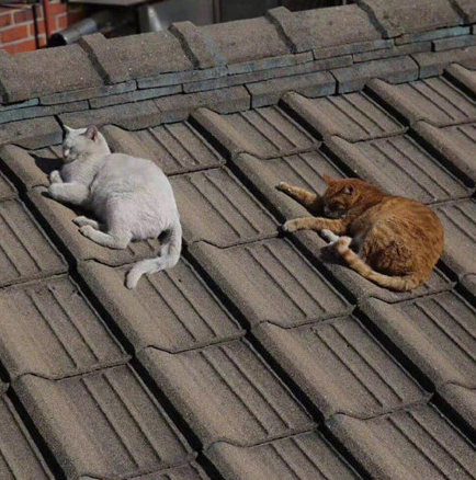 適合微信狀態(tài)的小眾文案帶背景圖 很高逼格的微信狀態(tài)文案5