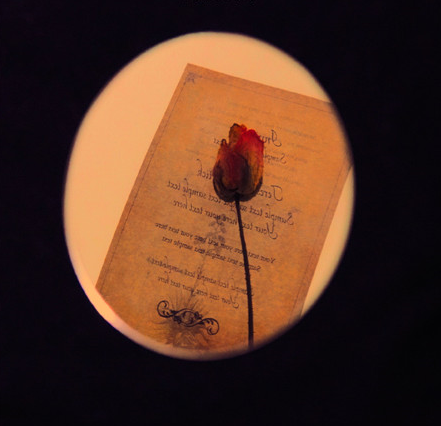 適合微信狀態(tài)的小眾文案帶背景圖 很高逼格的微信狀態(tài)文案13