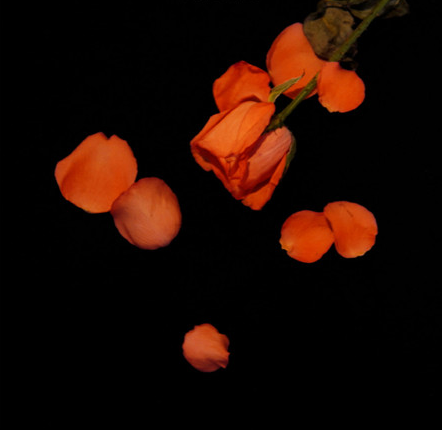 適合微信狀態(tài)的小眾文案帶背景圖 很高逼格的微信狀態(tài)文案14