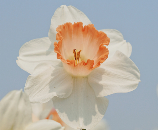 高質(zhì)量可愛又溫柔的抖音文案 抖音熱門文案大全1