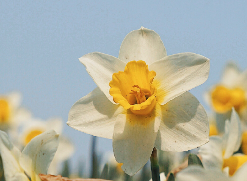 高質(zhì)量可愛又溫柔的抖音文案 抖音熱門文案大全2