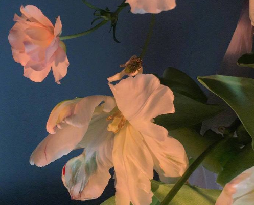 表達(dá)遺憾的朋友圈句子大全 深意感慨遺憾的心情說說2