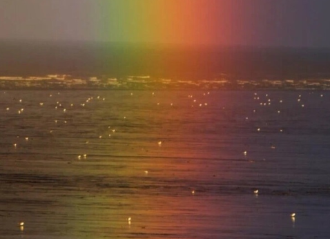 當(dāng)代沙雕必備除夕夜的微信說說 2021除夕夜的搞笑文案1