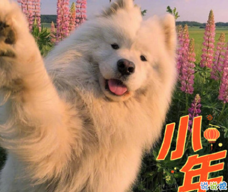 臘月二十四南方小年祝福語(yǔ) 南方小年夜暖心句子大全2