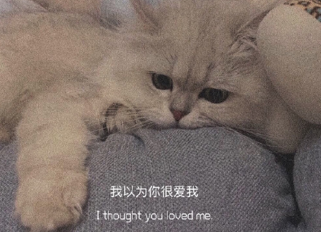 表達(dá)自己心情低落的句子帶圖片 厭倦了循環(huán)往復(fù)的生活5