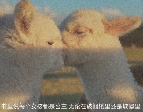 表達(dá)自己心情低落的句子帶圖片 厭倦了循環(huán)往復(fù)的生活9