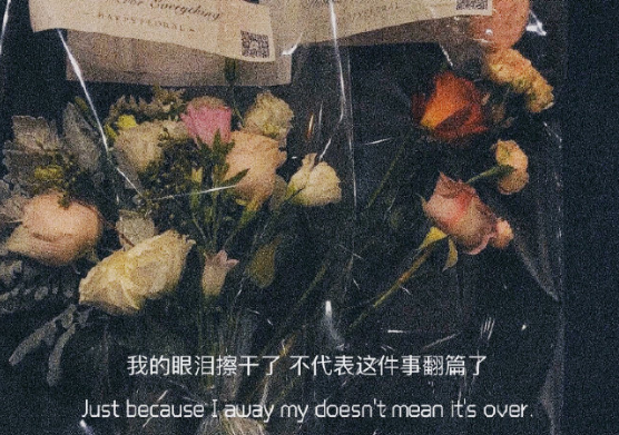  小紅書熱門傷感文案大全 點擊量很高的發(fā)小紅書的文案1