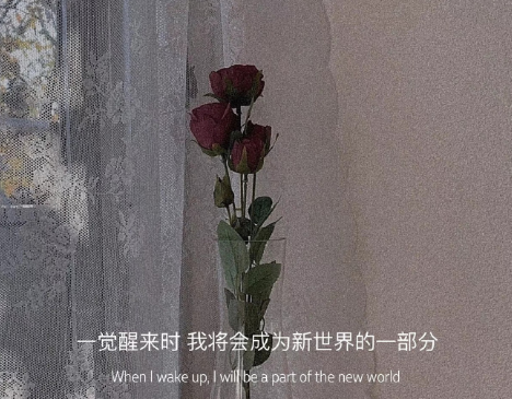 小眾好聽無關(guān)愛情的微信狀態(tài)文案 唯美又簡(jiǎn)約的微信狀態(tài)句子2