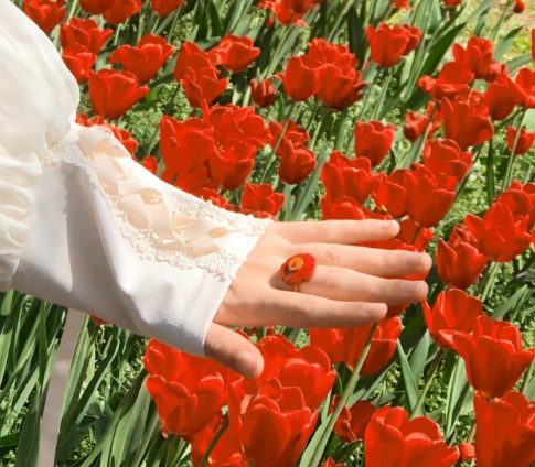 一組前程似錦未來可期的句子 希君生羽翼一化北溟魚1