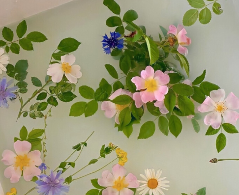 一組前程似錦未來可期的句子 希君生羽翼一化北溟魚2