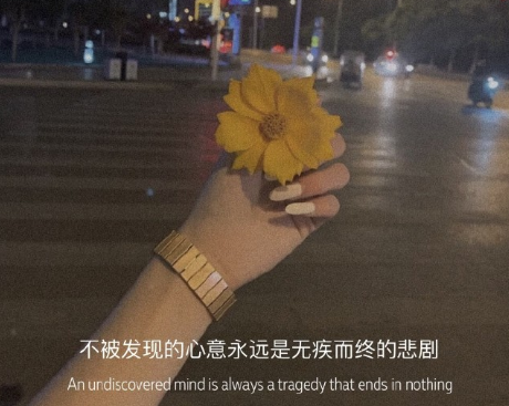 很吸引人讓人爆笑的朋友圈說說 超級爆笑的朋友圈文案2