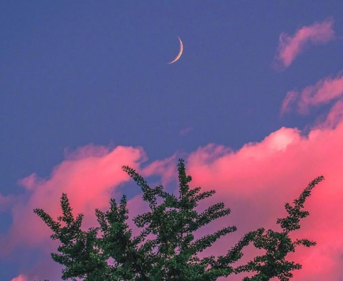 讓你明白犀利現(xiàn)實的戀愛真理 關(guān)于戀愛的很多精辟的句子1