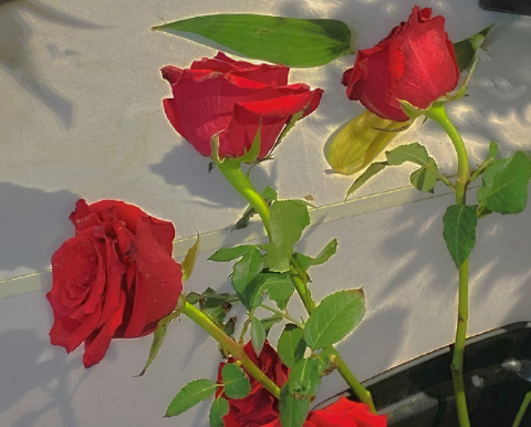 格調(diào)很高適合掛在微信狀態(tài)上的文案 超有創(chuàng)意的微信狀態(tài)句子1