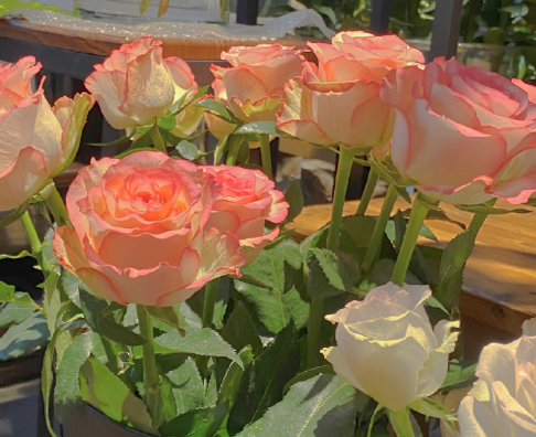 格調(diào)很高適合掛在微信狀態(tài)上的文案 超有創(chuàng)意的微信狀態(tài)句子2