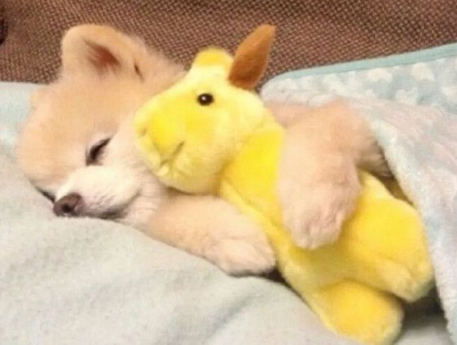 輕松又美好的關于生活的朋友去圈文案 細膩的美好藏在生活各處1