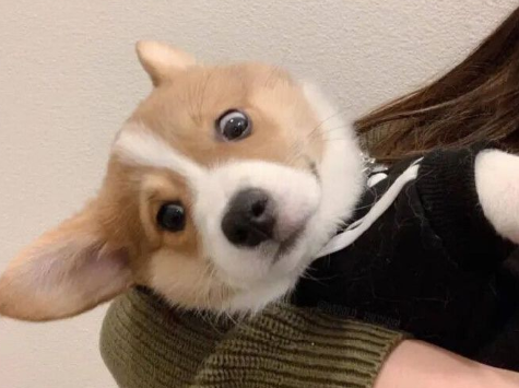 輕松又美好的關于生活的朋友去圈文案 細膩的美好藏在生活各處2