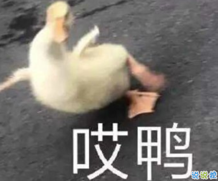 沙雕搞怪的朋友圈自拍文案 2021全新有趣的自拍文案帶圖片1