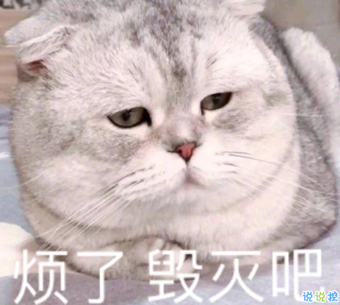 沙雕搞怪的朋友圈自拍文案 2021全新有趣的自拍文案帶圖片3