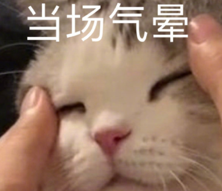 沙雕搞怪的朋友圈自拍文案 2021全新有趣的自拍文案帶圖片4