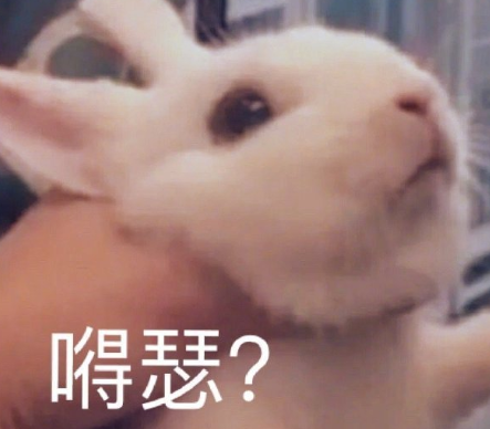 沙雕搞怪的朋友圈自拍文案 2021全新有趣的自拍文案帶圖片8