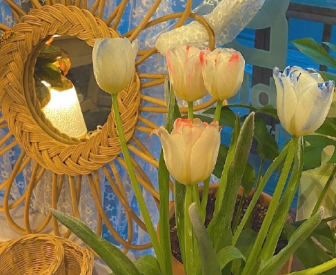 干凈又溫柔的朋友圈文案 令人心動(dòng)的文案句子2