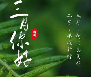 二月再見三月你好傷感說說 2021二月最后一天發(fā)的心情說說1