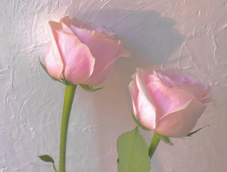 很經(jīng)典不會(huì)過時(shí)的秀恩愛文案 不矯揉造作的經(jīng)典表白說說2