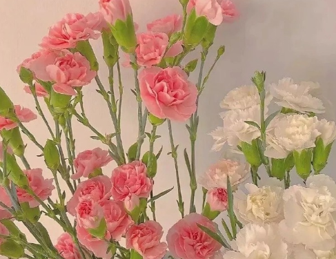 精選50條讓你豁然開朗話 讓你變的開心的句子1