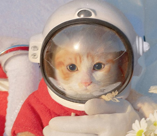 2021讓人爆笑的經(jīng)典搞笑幽默句子 值得收藏的寶藏文案1