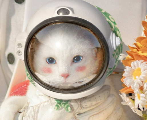 2021讓人爆笑的經(jīng)典搞笑幽默句子 值得收藏的寶藏文案2